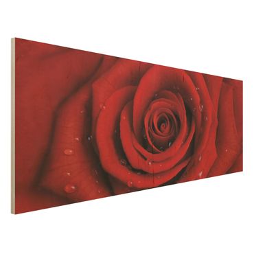 Obraz z drewna - Róża czerwona z kroplami wody