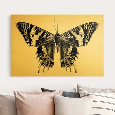 Obraz na płótnie - Illustration Flying Madagascan Butterfly - Format poziomy 3x2