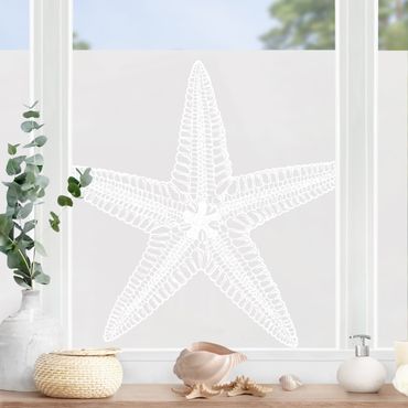 Folia okienna - Illustration Starfish