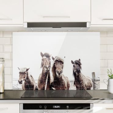 Panel szklany do kuchni - Konie na wyspach