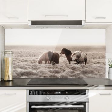 Panel szklany do kuchni - Islandzkie dzikie konie