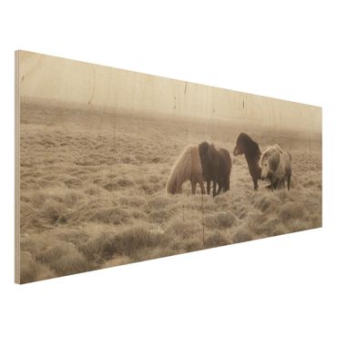 Obraz z drewna - Islandzkie dzikie konie