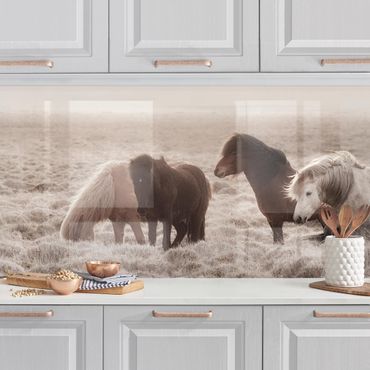 Panel ścienny do kuchni - Islandzkie dzikie konie