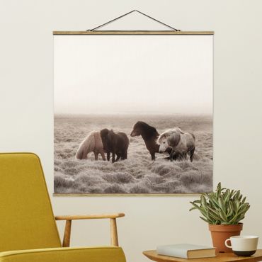 Plakat z wieszakiem - Islandzkie dzikie konie
