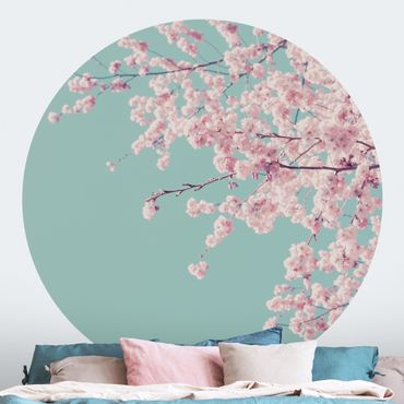 Okrągła tapeta samoprzylepna - Japoński kwiat wiśni