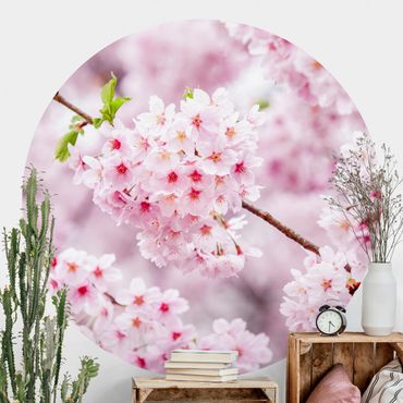 Okrągła tapeta samoprzylepna - Japońskie kwiaty wiśni