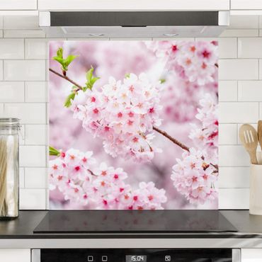 Panel szklany do kuchni - Japońskie kwiaty wiśni