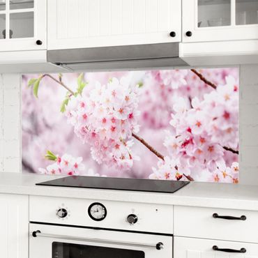 Panel szklany do kuchni - Japońskie kwiaty wiśni