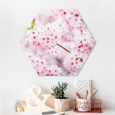 Obraz heksagonalny z Alu-Dibond - Japońskie kwiaty wiśni