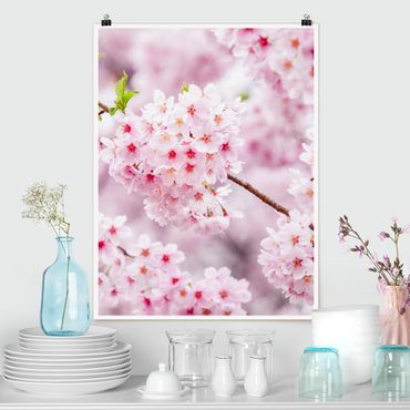 Plakat - Japońskie kwiaty wiśni