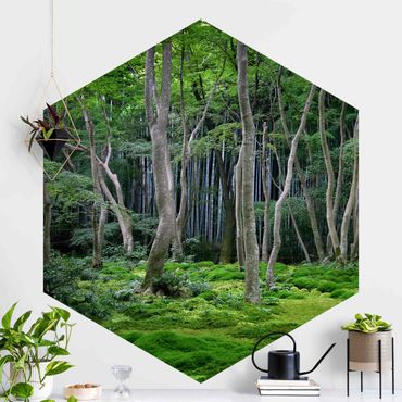 Sześciokątna tapeta samoprzylepna - Las japoński