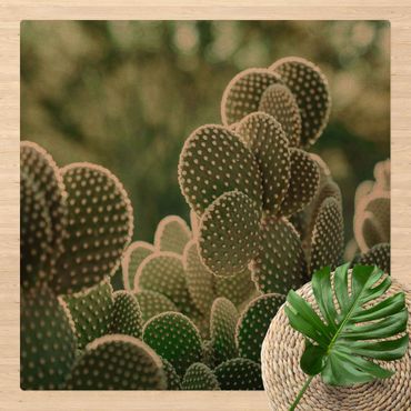 Mata korkowa - Kaktusy