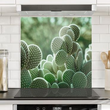 Panel szklany do kuchni - Kaktusy
