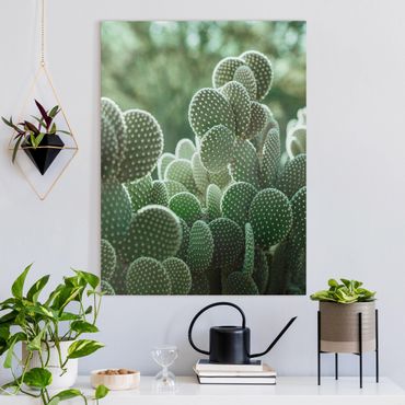 Obraz na płótnie - Kaktusy