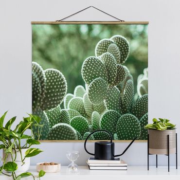 Plakat z wieszakiem - Kaktusy