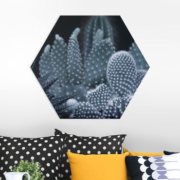 Obraz heksagonalny z Forex - Rodzina kaktusów w nocy