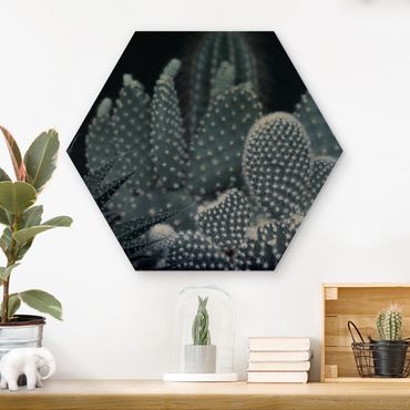 Obraz heksagonalny z drewna - Rodzina kaktusów w nocy