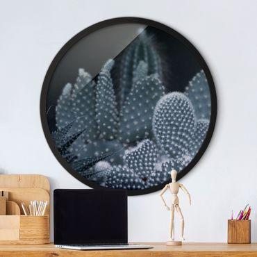 Okrągły obraz w ramie - Familiy Of Cacti At Night