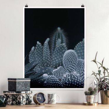 Plakat - Rodzina kaktusów w nocy