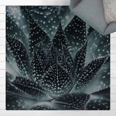 Mata korkowa - Kaktus z kropkami gwiazd w nocy