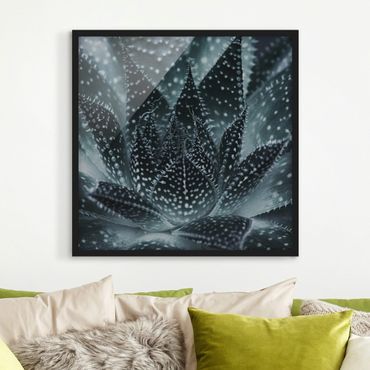 Plakat w ramie - Kaktus z kropkami gwiazd w nocy