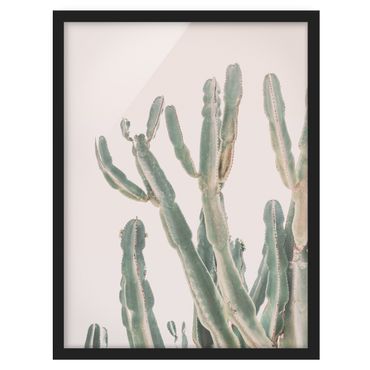 Plakat w ramie - Kaktus na tle pastelowego różu