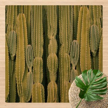 Mata korkowa - Ściana kaktusów