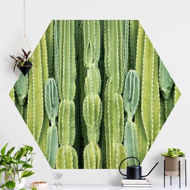 Sześciokątna tapeta samoprzylepna - Ściana kaktusów