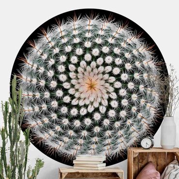 Okrągła tapeta samoprzylepna - Kwiat kaktusa