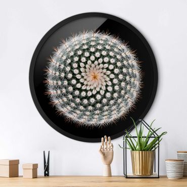 Okrągły obraz w ramie - Cactus Flower