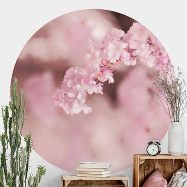 Okrągła tapeta samoprzylepna - Kwiat wiśni w fioletowym świetle