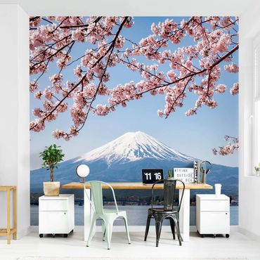 Fototapeta - Kwiaty wiśni z górą Fuji