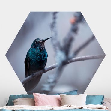 Sześciokątna tapeta samoprzylepna - Koliber w zimie