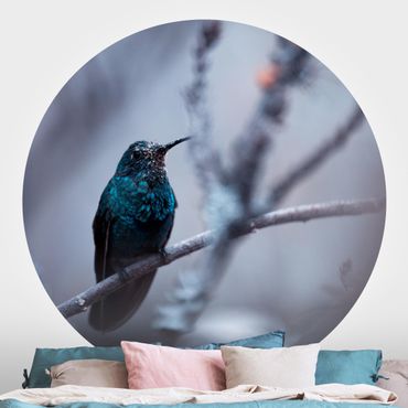 Okrągła tapeta samoprzylepna - Koliber w zimie