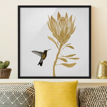 Plakat w ramie - Koliber i tropikalny złoty kwiat