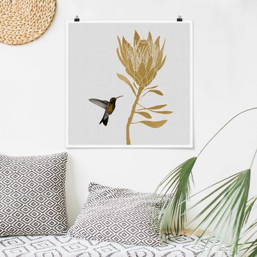 Plakat - Koliber i tropikalny złoty kwiat