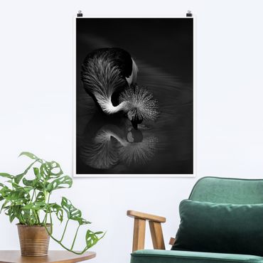 Plakat - Korona żurawia kokarda czarno-biały