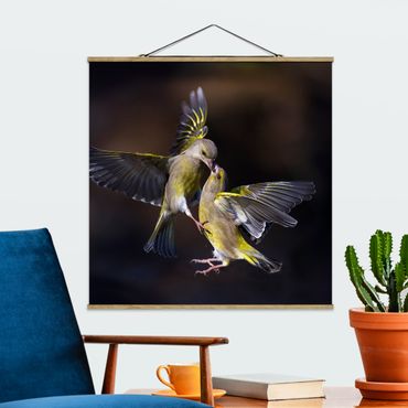Plakat z wieszakiem - Całujące się kolibry