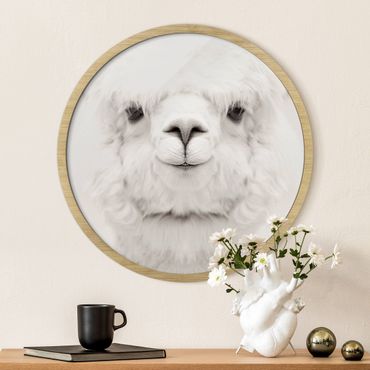 Okrągły obraz w ramie - Smiling Alpaca