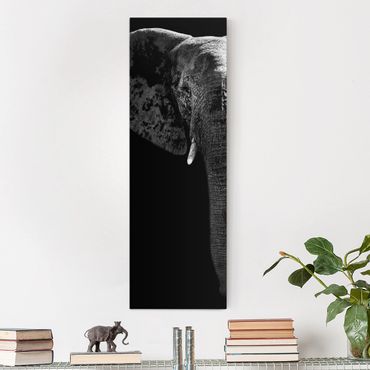 Obraz na płótnie - Słoń afrykański czarno-biały