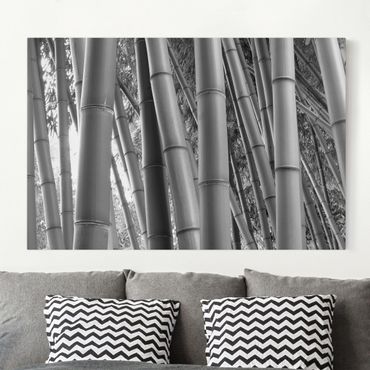 Obraz na płótnie - Bambus