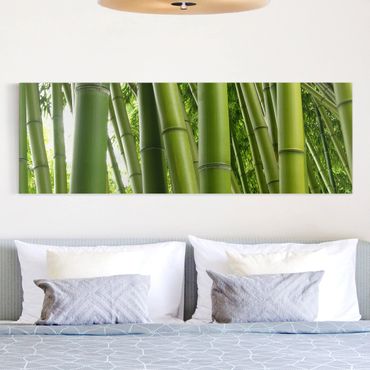 Obraz na płótnie - Drzewa bambusowe