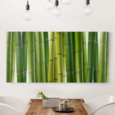 Obraz na płótnie - Rośliny bambusowe