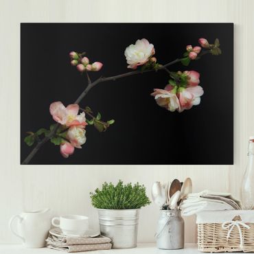 Obraz na płótnie - Jabłoń z kwitnącą gałązką