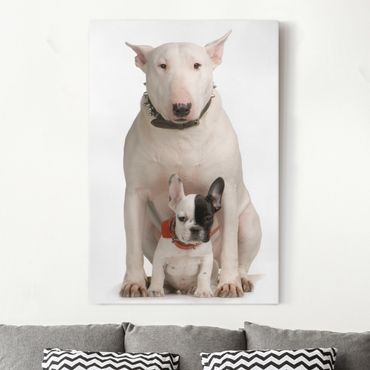 Obraz na płótnie - Bull Terrier i przyjaciel