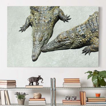 Obraz na płótnie - Romans krokodyla