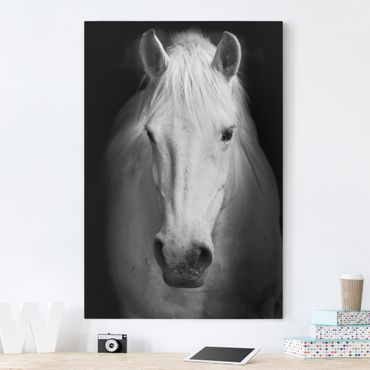 Obraz na płótnie - Marzenie o koniu