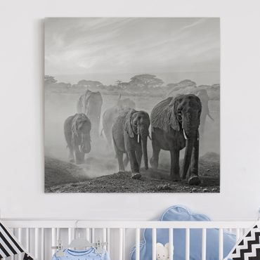 Obraz na płótnie - Stado słoni