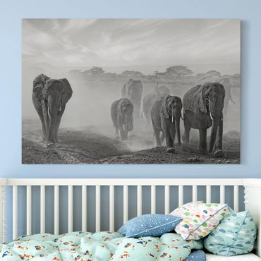 Obraz na płótnie - Stado słoni