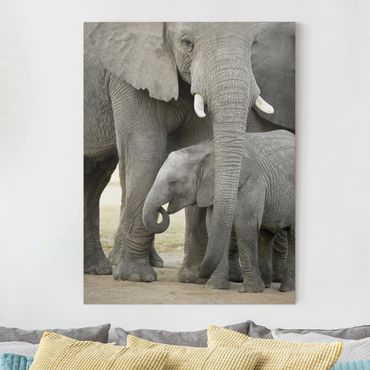 Obraz na płótnie - Miłość słonia